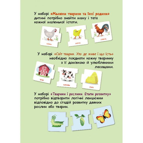 Catene logiche. Mondo animale. Chi vive dove e cosa mangia